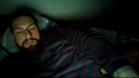 zubit online show from November 11, 1:38 am