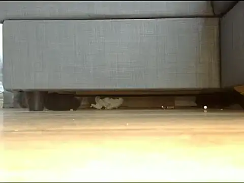 Squirtlady38 online show from February 13, 1:26 pm