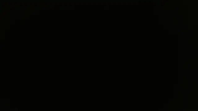 miley jensen online show from December 19, 8:02 am