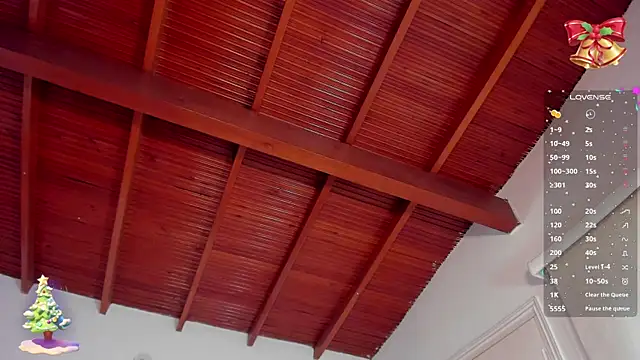 bhritany brow online show from December 31, 1:30 pm