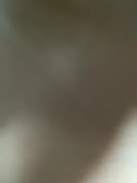 Lia flowers online show from March 1, 1:11 am