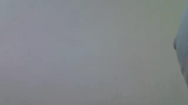 AddictiveAssCurves online show from March 18, 8:39 am