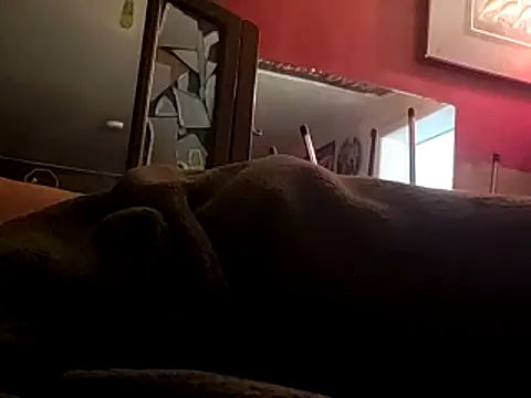 JRock69nKzoo online show from November 12, 11:54 am