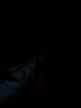 michele1500 online show from November 25, 9:37 pm