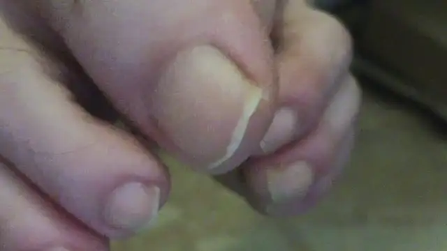 Snapshot of curiosillo83 chatting on June 2, 2:35 am curiosillo83 online show from June 2, 2:35 am
