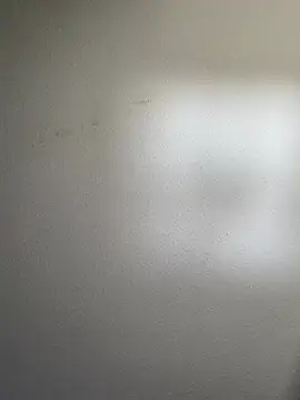 Snapshot of Wisco_23 chatting on December 31, 4:16 am Wisco 23 online show from December 31, 4:16 am