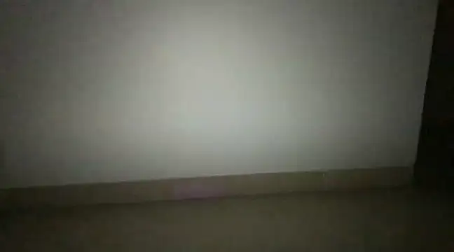 highfuckkklife online show from December 3, 5:45 pm