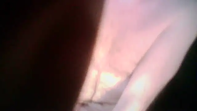 Iseeyou2023 online show from January 18, 2:26 am