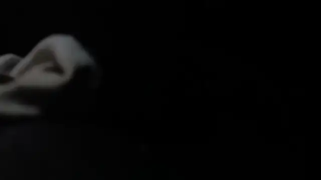 Snapshot of VARGAcz chatting on February 4, 1:50 pm VARGAcz online show from February 4, 1:50 pm