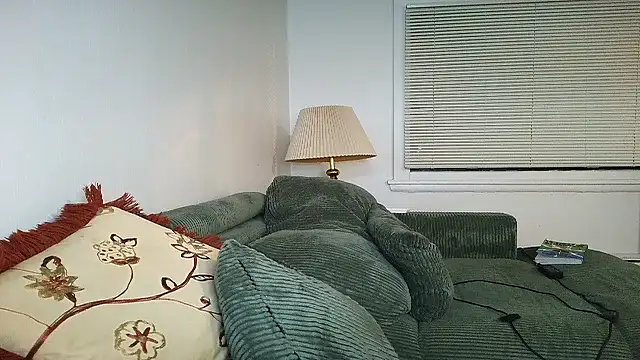 Snapshot of SiminFox chatting on February 7, 4:27 am SiminFox online show from February 7, 4:27 am