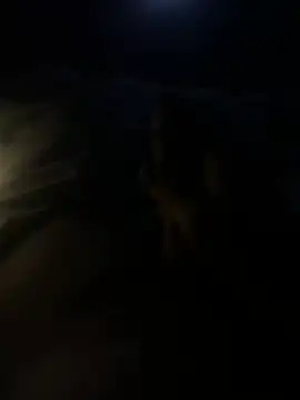 youngTJ online show from July 27, 2:51 am