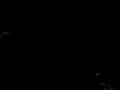 Snapshot of Nawtyslaveteen chatting on November 24, 8:30 pm Nawtyslaveteen online show from November 24, 8:30 pm