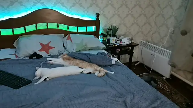 FelvivalKitty online show from January 8, 9:23 pm