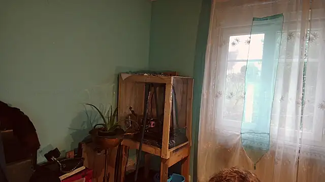 Prxscillia Tx online show from December 13, 8:20 am