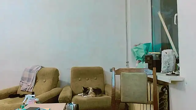 Snapshot of RosaJil chatting on February 28, 1:25 pm RosaJil online show from February 28, 1:25 pm