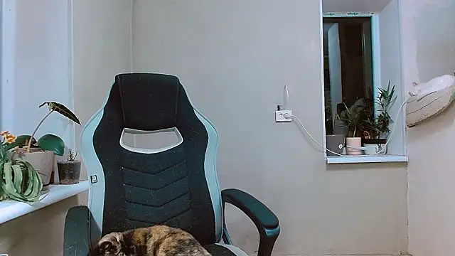 Snapshot of RosaJil chatting on November 1, 3:58 pm RosaJil online show from November 1, 3:58 pm