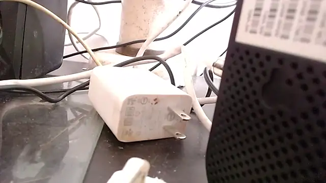 bardotbigcockts online show from September 25, 8:01 pm