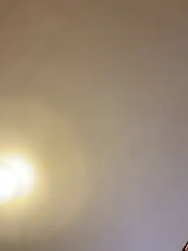 Snapshot of asianmama888 chatting on February 24, 12:41 am asianmama888 online show from February 24, 12:41 am