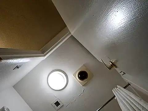 Treemandude online show from October 29, 2:36 am