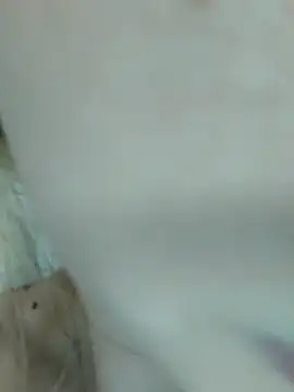 Elza kom online show from March 1, 7:51 am