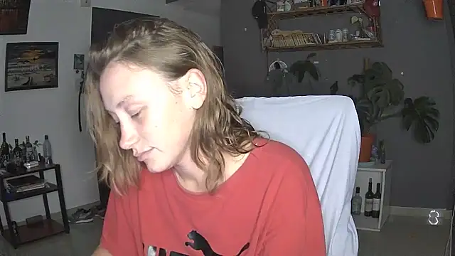 stupid babybird online show from April 2, 2:53 am