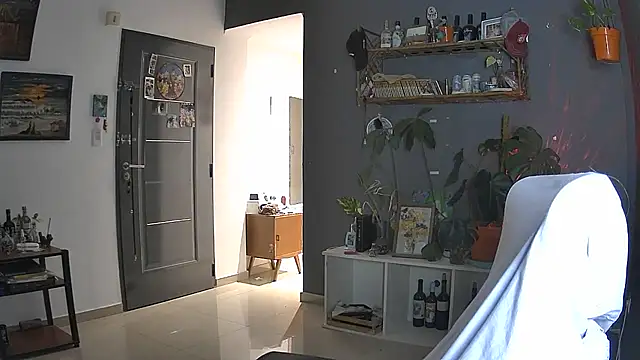 stupid babybird online show from April 5, 11:13 pm