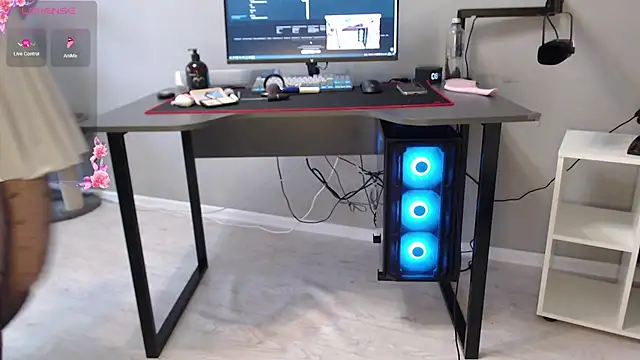 Snapshot of LadySambuca chatting on February 14, 5:48 am LadySambuca online show from February 14, 5:48 am