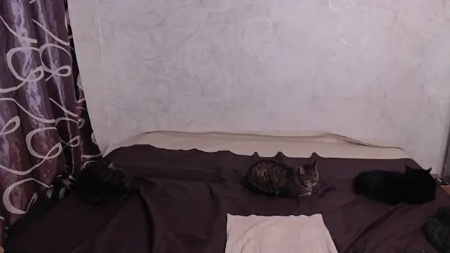 Olivia Winston online show from April 10, 2:39 am