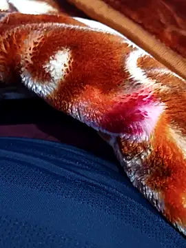 ak007 desire online show from December 15, 4:00 pm