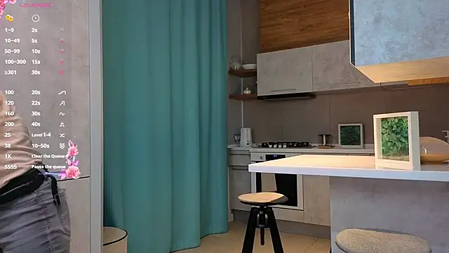 DonnaBurkee online show from December 4, 4:11 am