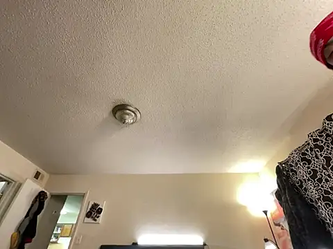 4EVAGLACIERS online show from January 19, 8:18 am