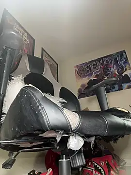 4EVAGLACIERS online show from January 31, 1:34 pm