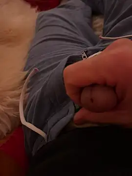 Snapshot of havefun32 chatting on November 19, 7:47 pm havefun32 online show from November 19, 7:47 pm