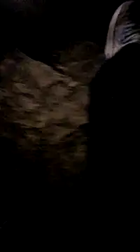 Snapshot of playtyme420691 chatting on December 7, 5:15 am playtyme420691 online show from December 7, 5:15 am