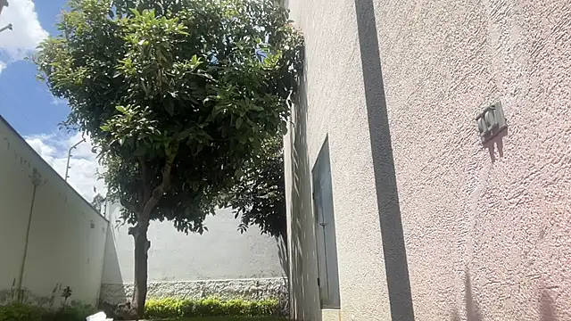 ChocolateCakeQueen online show from November 11, 4:40 pm