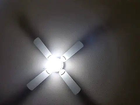 EXOTICLEXXXI online show from January 26, 7:31 pm