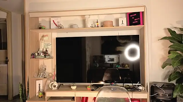 Michelle se online show from April 10, 11:42 pm