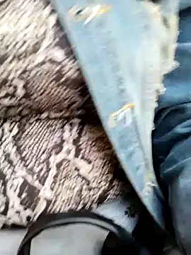 Emily Wane online show from January 7, 3:33 pm