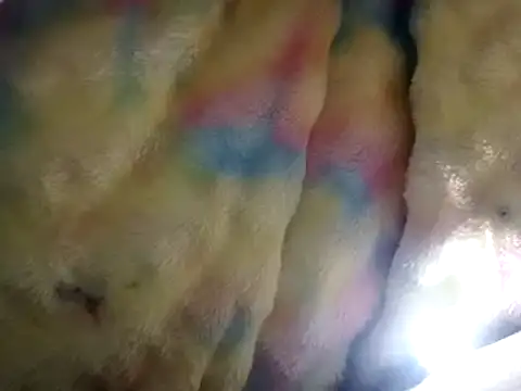 Moreno1813 online show from March 15, 2:55 pm