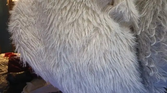 PropertyAndBiker online show from December 6, 2:24 am