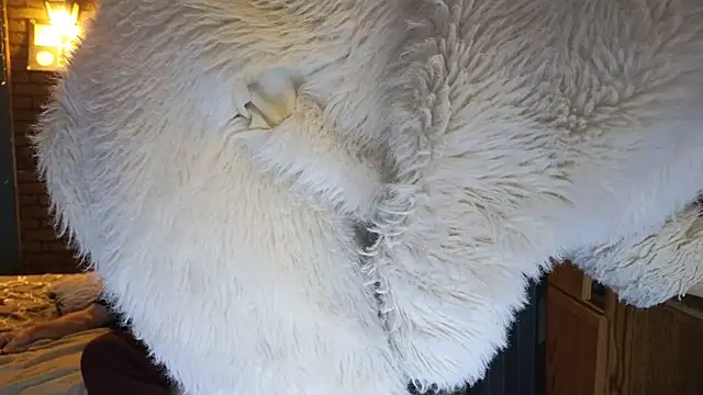 PropertyAndBiker online show from December 7, 2:20 am