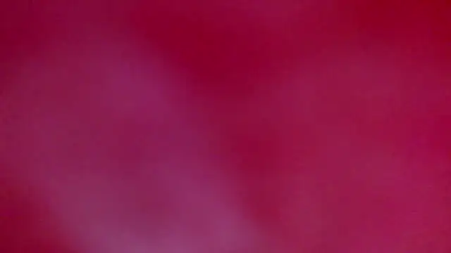 Snapshot of ray_and_666 chatting on January 18, 7:45 am ray and 666 online show from January 18, 7:45 am