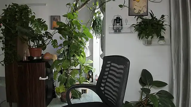 Oliver Nl online show from November 28, 4:48 am