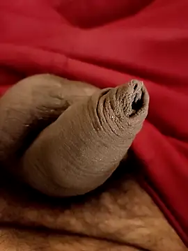 Snapshot of Ashish02345 chatting on January 25, 8:31 pm Ashish02345 online show from January 25, 8:31 pm