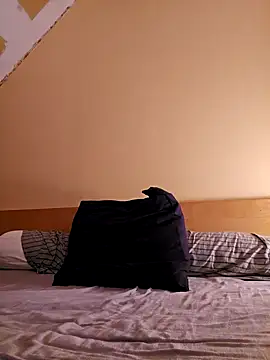 anald66666 online show from February 9, 10:21 pm