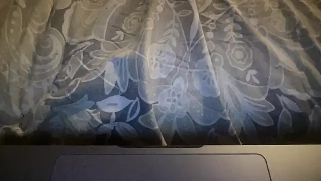 Dogz n daugthers online show from March 21, 12:37 am