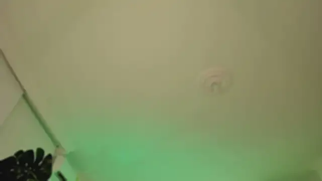 Taylor  foxxx online show from March 6, 4:08 am