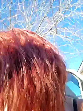 Snapshot of Dixiefaye_Pika chatting on December 19, 8:13 pm Dixiefaye Pika online show from December 19, 8:13 pm