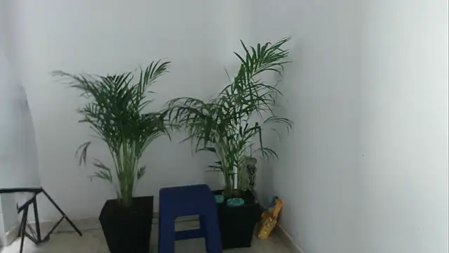 skylarhot420 online show from March 5, 3:07 pm