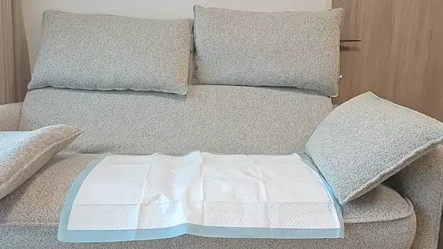 Ema japanese online show from November 20, 6:13 am